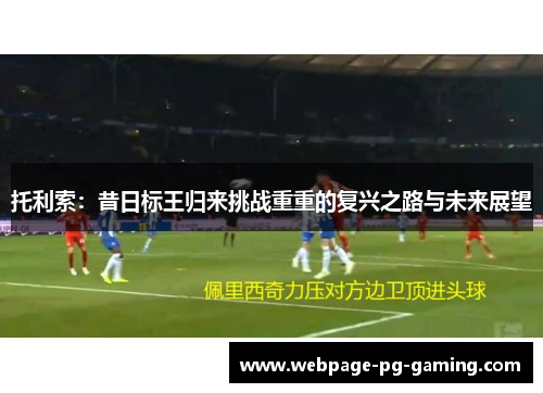 托利索：昔日标王归来挑战重重的复兴之路与未来展望