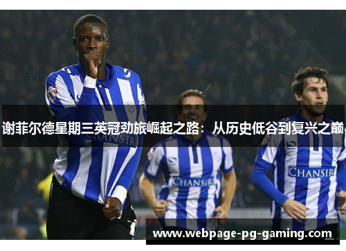 谢菲尔德星期三英冠劲旅崛起之路：从历史低谷到复兴之巅